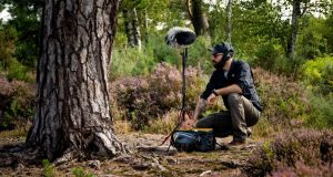 Sunetele pădurii îți intră în casă! George Vlad, sunetele pădurii (https://mindful-audio.com/mentorships)