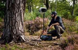 Sunetele pădurii îți intră în casă! George Vlad, sunetele pădurii (https://mindful-audio.com/mentorships)