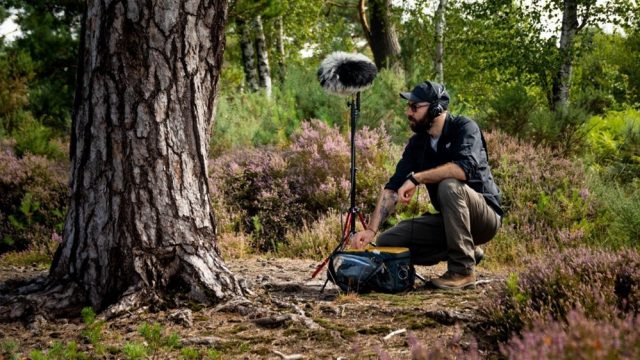 George Vlad, sunetele pădurii (https://mindful-audio.com/mentorships)