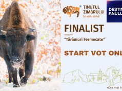 Ținutul Zimbrului, din nou finalistul concursului destinația anului! Foto: Gheorghe Popa: Ținutul Zimbrului finalist Destinația Anului- Tărâmuri de poveste