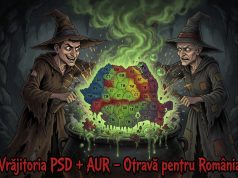 Rețetă politică pentru leacul națiunii AUR-PSD