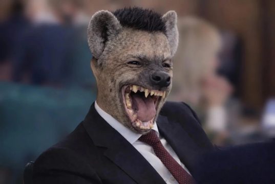 Ce te faci Grindene, ce-ai avut în cap! Nimic? Imagine decorativă realizată cu IA