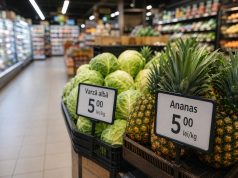 Republica exotică România Imagine decorativă realizată cu IA