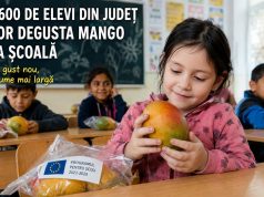 1.600 de elevi din județ vor afla la școală ce gust are viața bună Imagine decorativă realizată cu IA