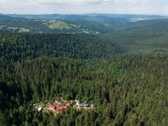 De Ziua Mediului, în Parcul Natural Vânători Neamț Foto: Dan Dinu/Peisaj din Parcul Natural Vânători Neamț