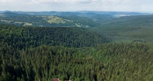 De Ziua Mediului, în Parcul Natural Vânători Neamț Foto: Dan Dinu/Peisaj din Parcul Natural Vânători Neamț