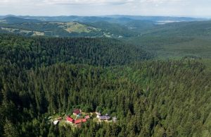 De Ziua Mediului, în Parcul Natural Vânători Neamț Foto: Dan Dinu/Peisaj din Parcul Natural Vânători Neamț