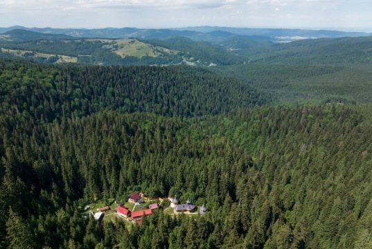 De Ziua Mediului, în Parcul Natural Vânători Neamț Foto: Dan Dinu/Peisaj din Parcul Natural Vânători Neamț