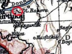 Colonia timoceană de la Cusuiul din Vale