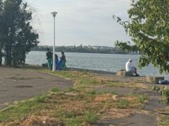 Curat murdar, coane…Vergilică!