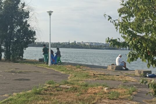 Curat murdar, coane…Vergilică!