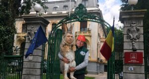Cine l-a scos din jobenul lui Grindeanu pe generalul Pahonțu? Imagine decorativă realizată cu IA