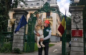 Cine l-a scos din jobenul lui Grindeanu pe generalul Pahonțu? Imagine decorativă realizată cu IA
