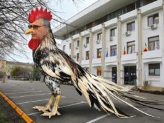 Când ești clapon și te dai cocoș! Imagine decorativă realizată cu IA